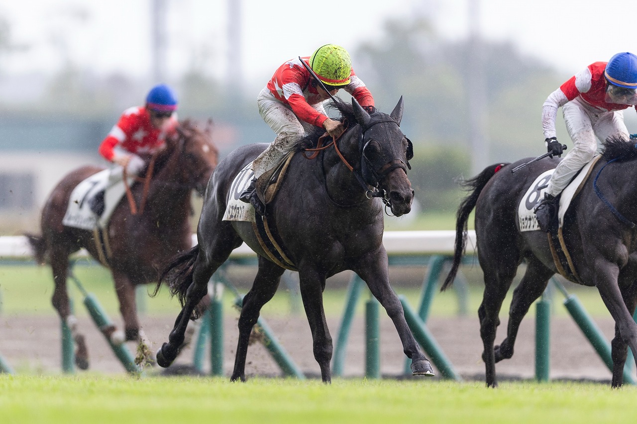 レッドエヴァンス