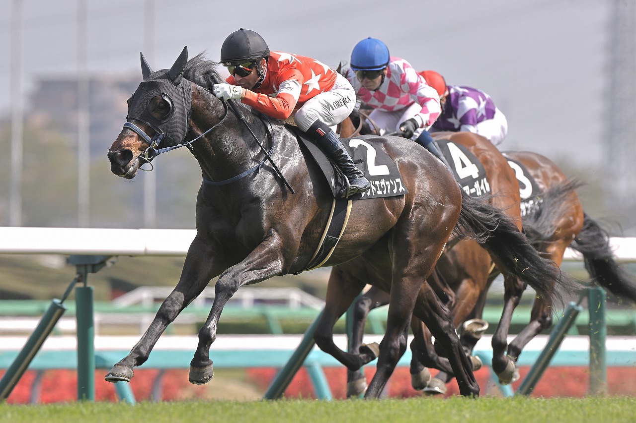 レッドエヴァンス