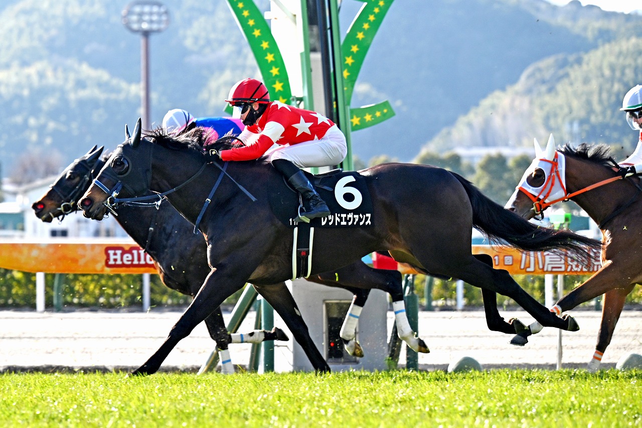 レッドエヴァンス